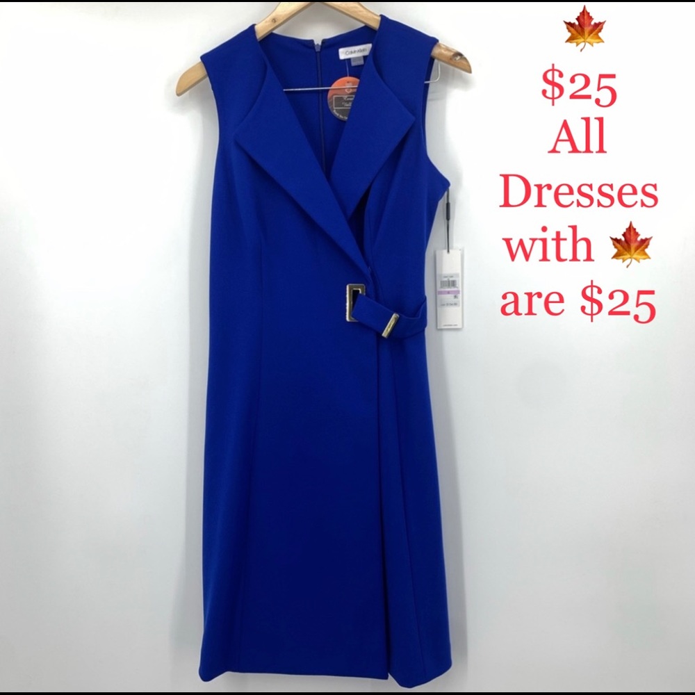 🍁NWT-Calvin Klein Blue Buckle Dress